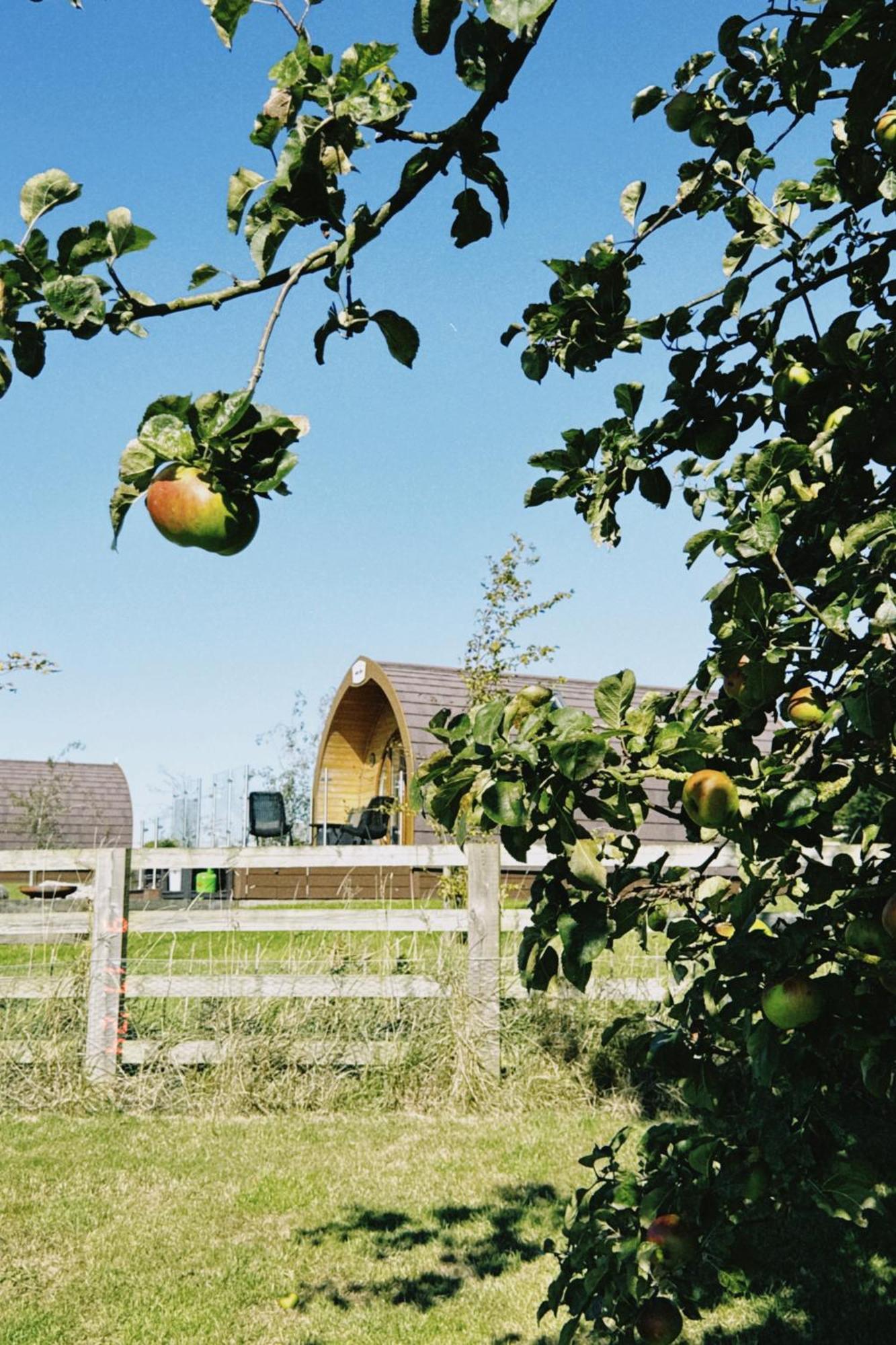 Mingle Dale- Bugthorpe Grange Glamping Vila Stamford Bridge Exterior foto